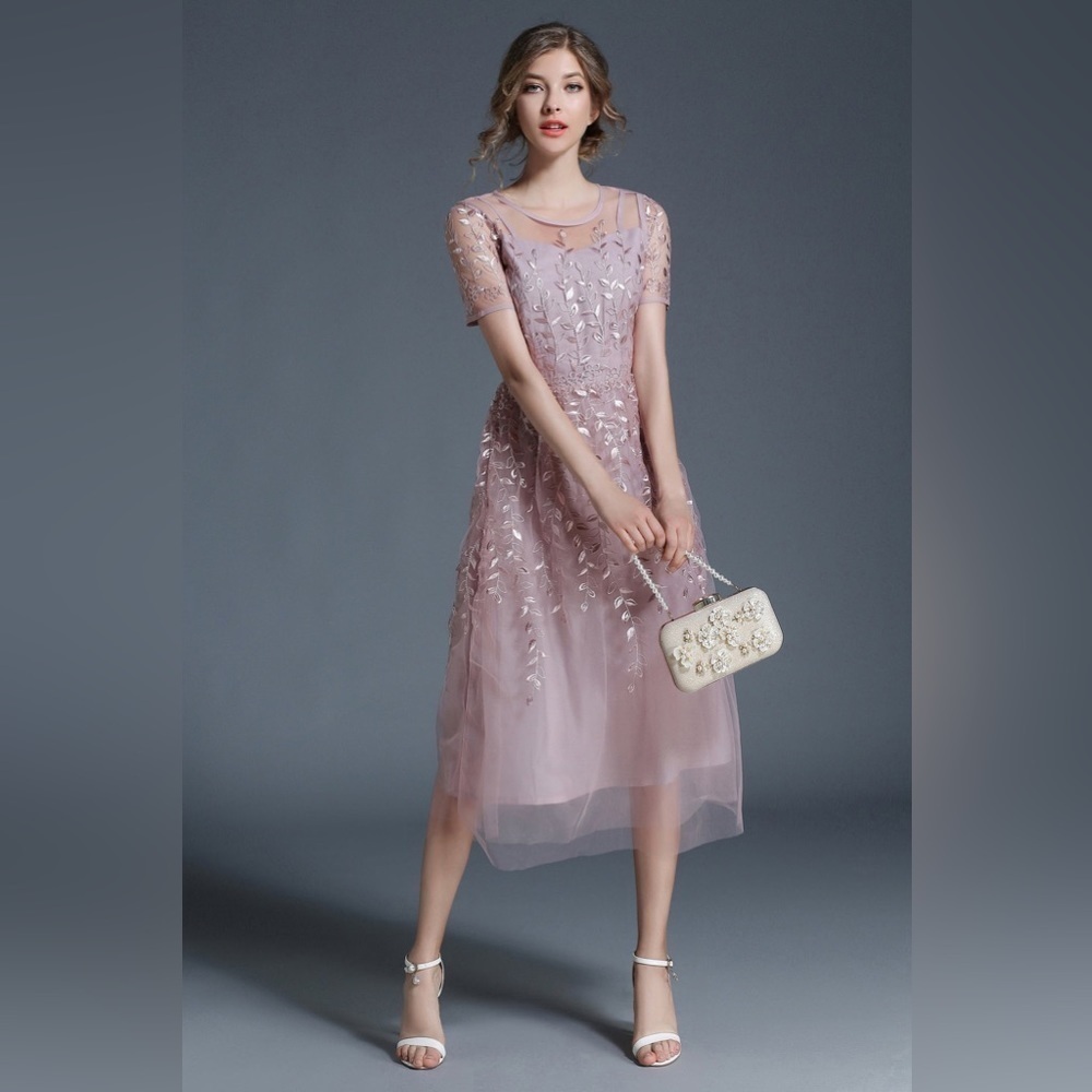 Shiran Fushi SHORT SLEEVE EMBROIDERY FIT AND FLARE MESH DRESS